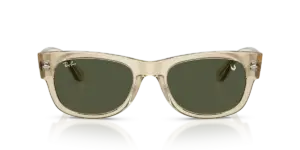 Ray-Ban RB0832S 146031, vista frontal