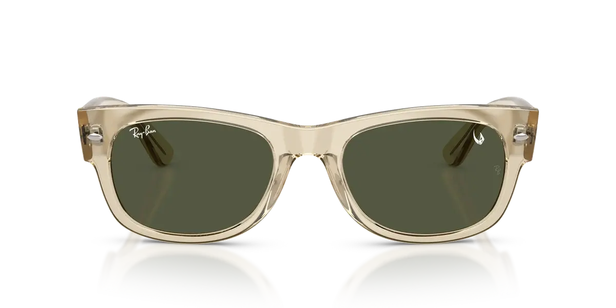 Ray-Ban RB0832S 146031, vista frontal