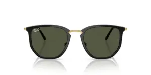Ray-Ban RB4451, vista frontal