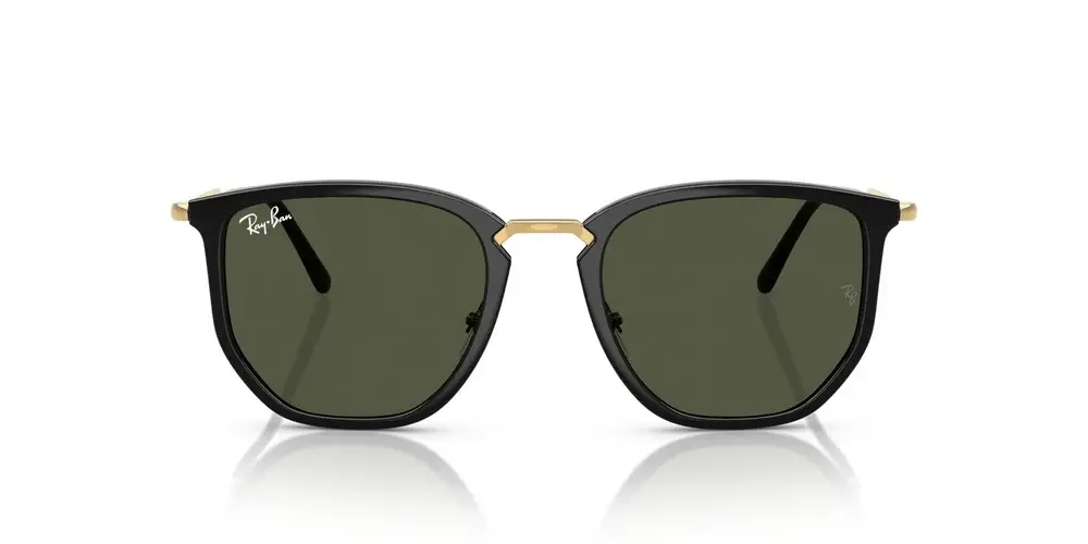 Ray-Ban RB4451, vista frontal