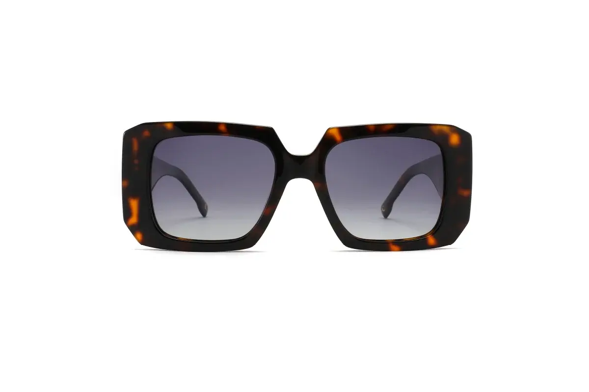 Cacharel CA054, vista frontal